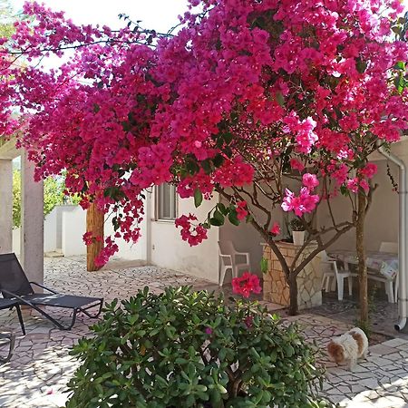 Villa Beatrice Serranova Exterior foto